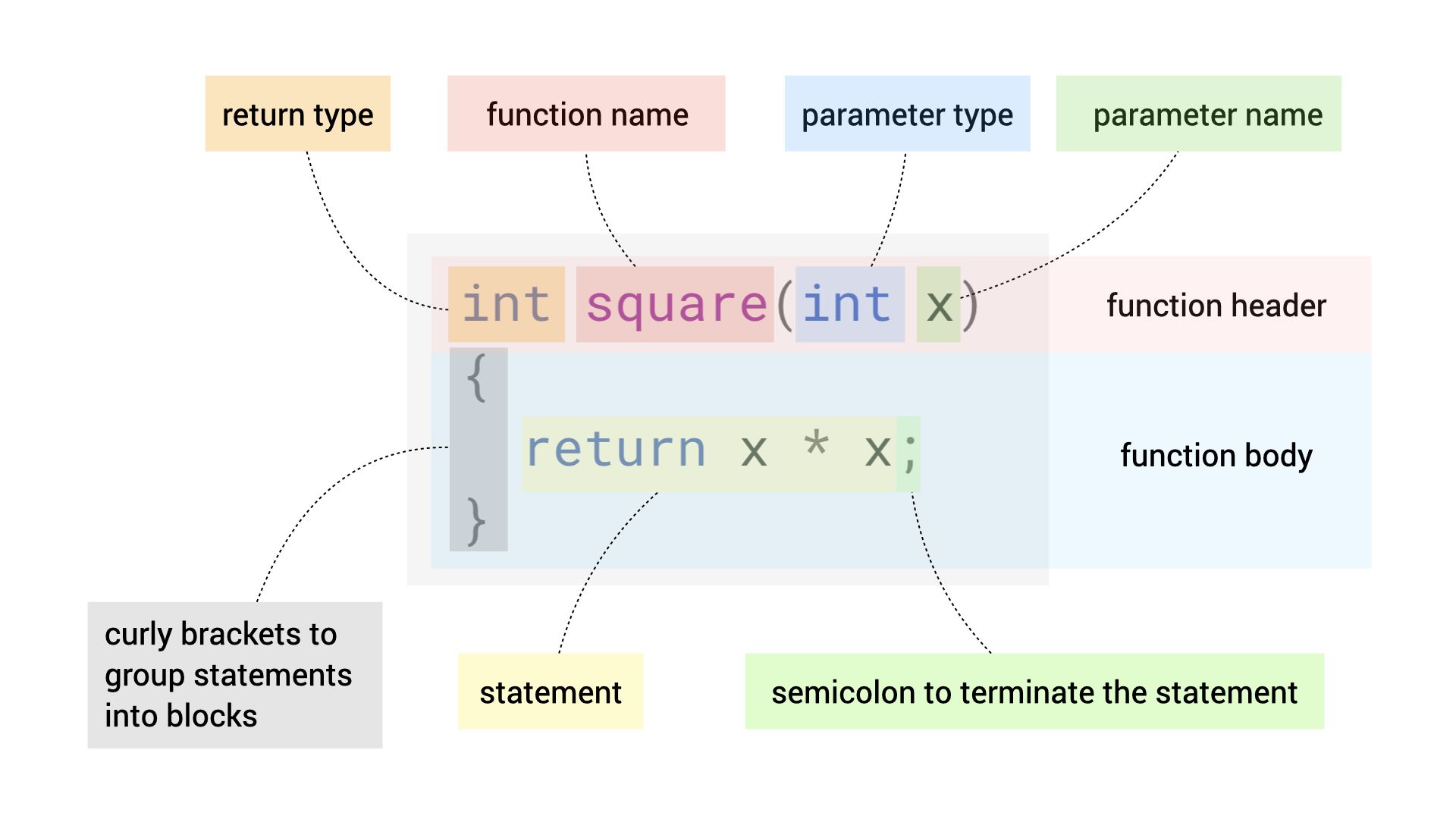 function anatomy